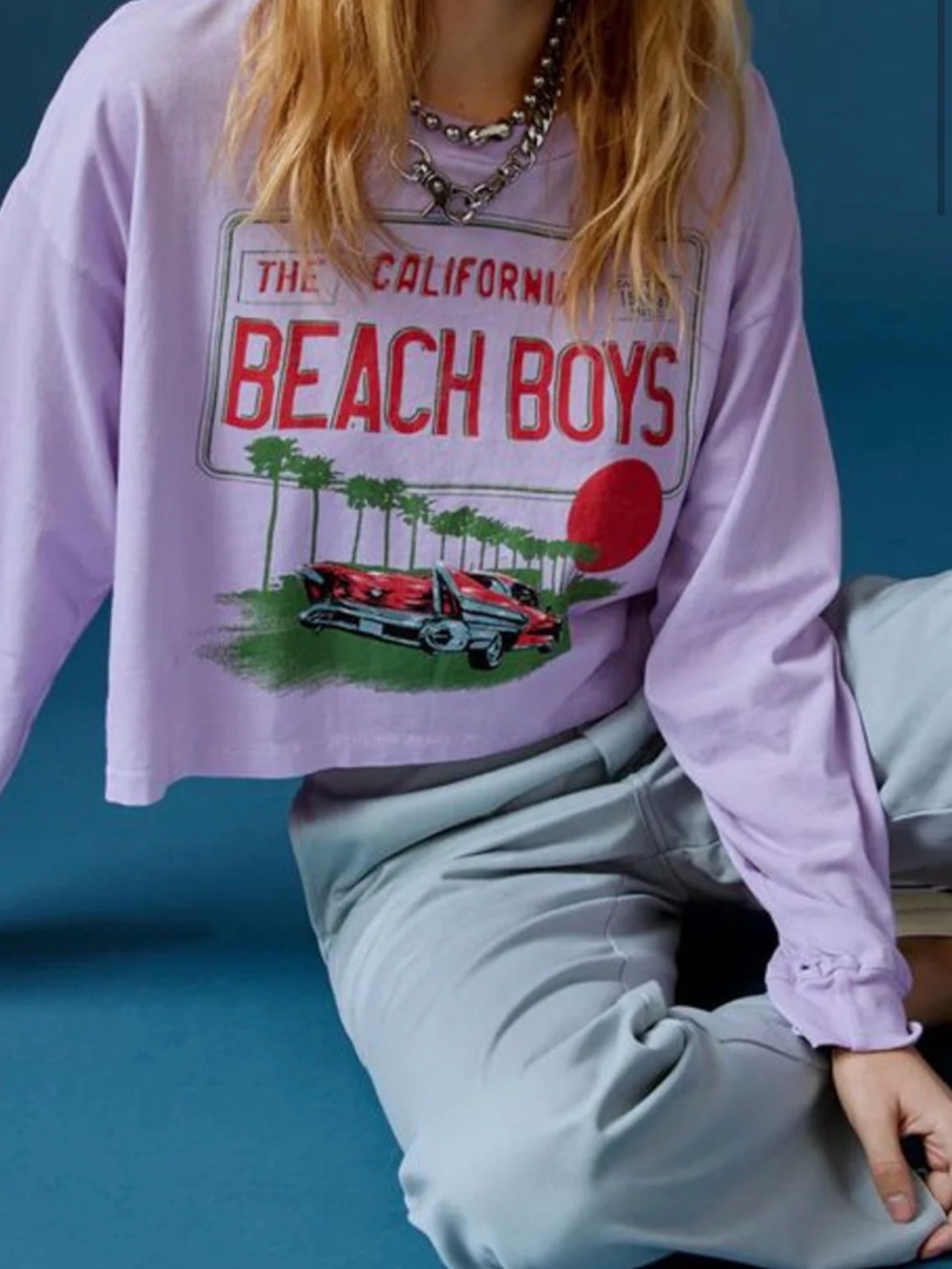 NWT Daydreamer Beach Boys License Plate Cropped Merch Tee in Lavender Bloom M